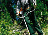 GrassTrimmers_Brushcutters