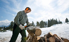 Petrol Chainsaws