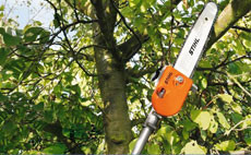 PolePruners