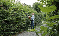 Cordless-Li-Ion-hedge-trimmers