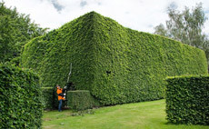 Long-reach-hedge-trimmers
