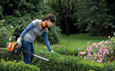 Petrol-hedge-trimmers